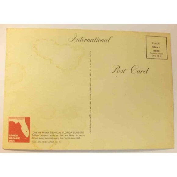 Palms & Florida Fl Sunset Vintage Tropical Travel Ocean Postcard Over The Water - Picture 2 of 2